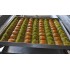 Klasik Baklava